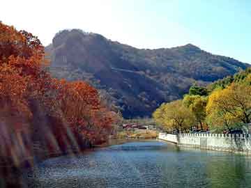 新澳天天开奖资料大全旅游团，小霸王站群